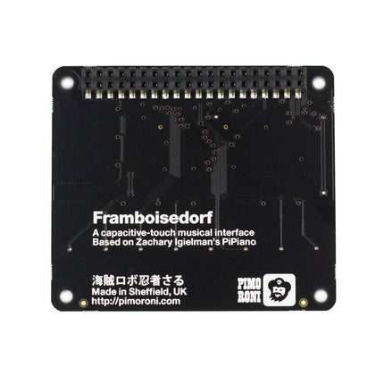 Pimoroni Piano HAT for Raspberry Pi - Elektor