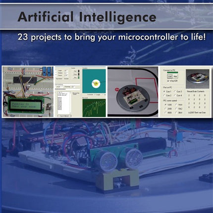 Artificial Intelligence (E-BOOK)